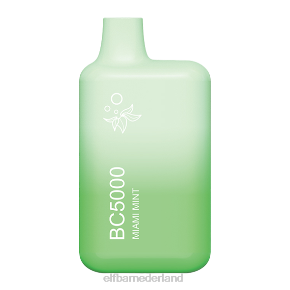 ELFBAR miami mint bc5000 consument - 50 mg - enkelvoudig JJ6B14